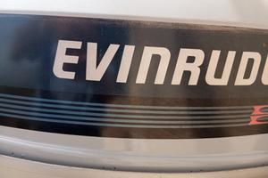 Evinrude 25