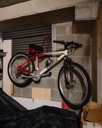 Mountain-bike KASTLE XC-F300