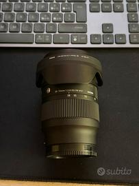 Sigma 28-70 f2.8 E mount