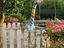 Immagine 12