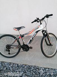 Bicicletta bambino 24