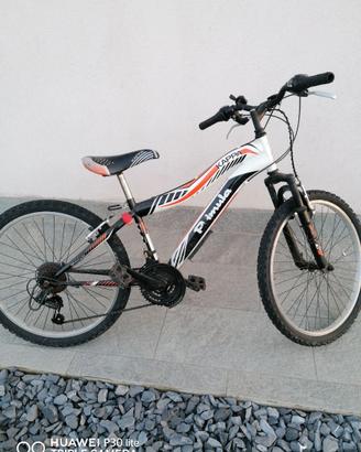 Bicicletta bambino 24
