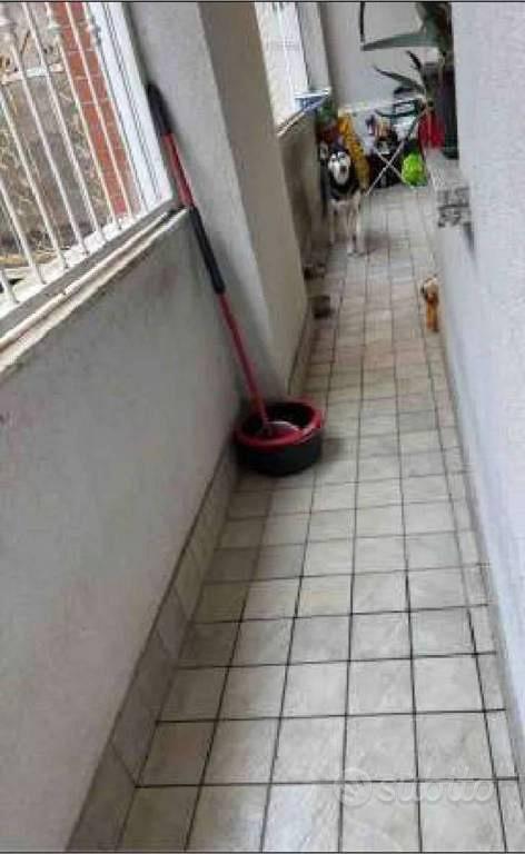 Appartamento – Garbagnate Milanese, Santa Maria Rossa - Vista 3