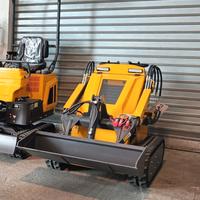 Minipala cingolata Ed-480C