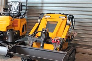 Minipala cingolata Ed-480C