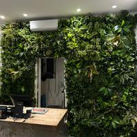 Giardino verticale verde premium 8mq con pannelli