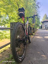 bicicletta