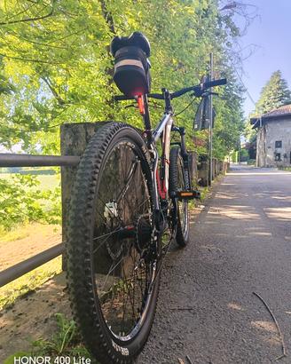 bicicletta