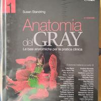 ANATOMIA del GRAY, ed. 41, 9788821441479, NUOVO