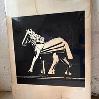 Litografie CEROLI numerate