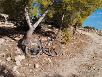 telaio MTB trek