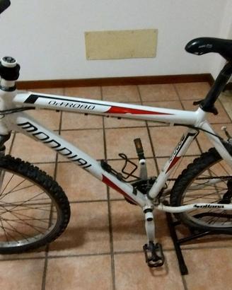 Mountan bike per adolescenti