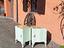 Immagine 5