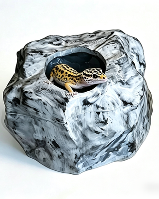 Tana umida, calda, ciotole x geco, pogona