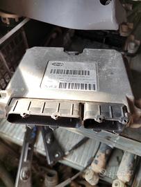 Centralina motore FIAT PANDA 1242cc 8V del 2006