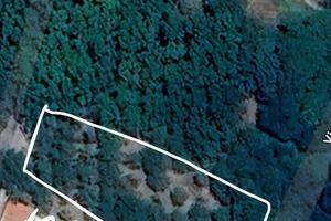 Terreno in Decollatura