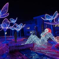 Fiori luminosi e Babbo Natale con luminarie