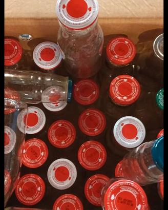 bottiglie per passata  pomodoro 