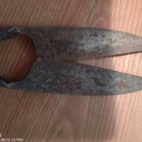 Forbice da pastore da collezione.