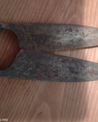 Forbice da pastore da collezione.