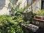 Immagine 19
