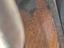 Immagine 11