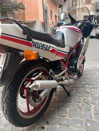 Yamaha rd 350 ASI Athena/Jolly