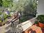 Immagine 26