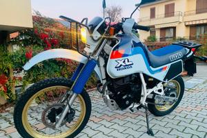 HONDA XL 600 LM Paris Dakar FMI TARGA ORO