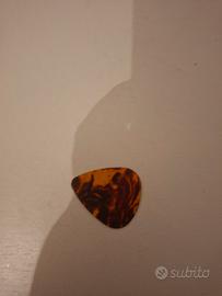 petto per chitarra