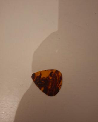 petto per chitarra