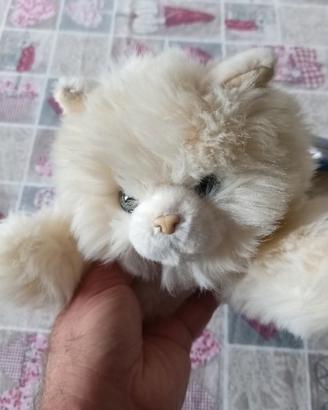 Splendidi peluche gatti Trudi  