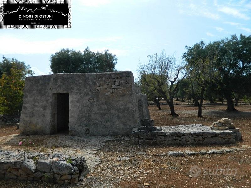 LAMIA SPRITZ con TERRENO 1Ha - OSTUNI - Vista 2