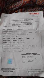 Gozzo