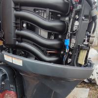 Yamaha F100 EFI Blocco motore Ricambio
