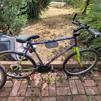 bici da corsa Carraro 