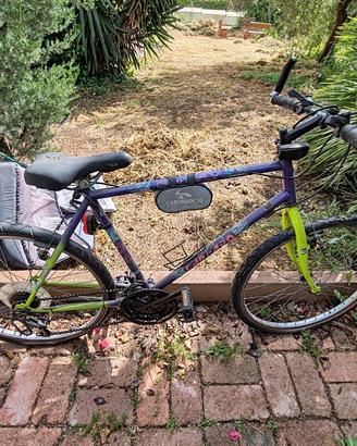 bici da corsa Carraro 