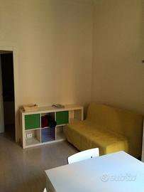 Casa nuova in centro a Bologna da marzo