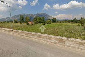 TER. AGRICOLO A AIROLA