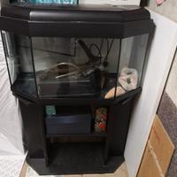 ACQUARIO PESCI