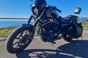 Harley Davidson 883 Iron - Charcoal Edition 2016