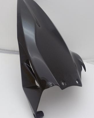 PARAFANGO POSTERIORE CARBONIO LUCIDO DUCATI STREET