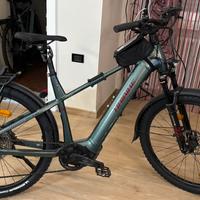 Haibike Trekking 5 verde ebike