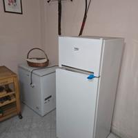 Frigo e 2 freezer  a pozzetto