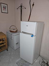 Frigo e 2 freezer  a pozzetto