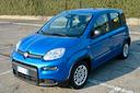 fiat-panda-1-0-firefly-s-s-hybrid-pandina
