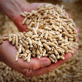 Pellet certificato ENplus A1 e legna da ardere