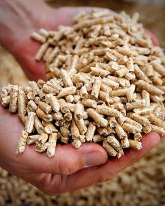 Pellet certificato ENplus A1 e legna da ardere