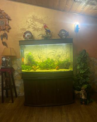 acquario