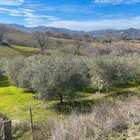 Terreno anche edificabile